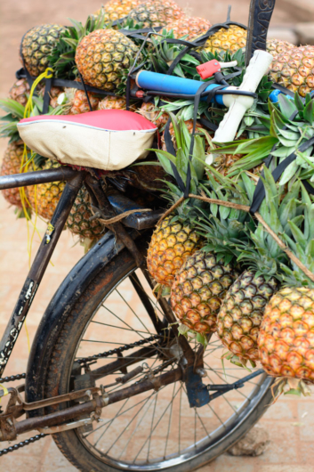 African bicycle loaded with pineapples