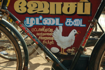 A chicken advertising board is attached to a bicycle in India.