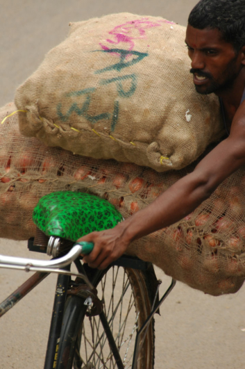 A man pushes an overloaded bicycle.