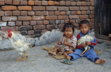 Nepalese children hold chickens.