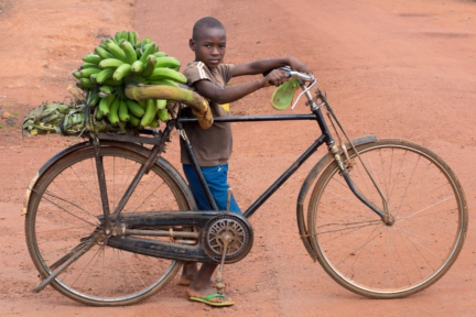 An African boy stands next to his bicycle that has bananas loaded on the top of the back rack.