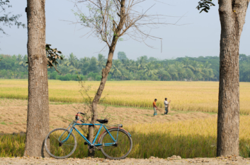 A blue bicycle is parked against a tree in Bangladesh.