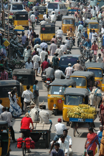 A lone red western bicyclist cycles through a crowded Indian street full of motorized rickshaws, motorcycles and pedestrians during a bicycle tour of Southern India.