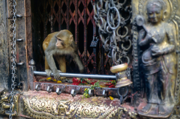 swayambhunath-1