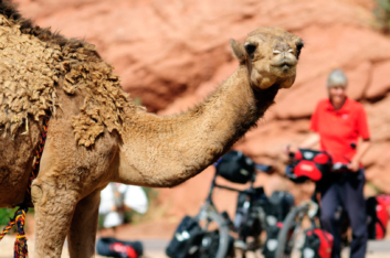 morocco-bicycle-touring-35