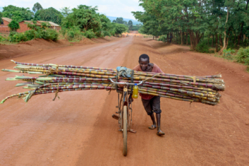 africa-man-pushes-loaded-bike