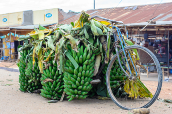 banana-bike-africa