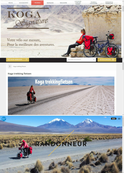 bicycle-shop-websites